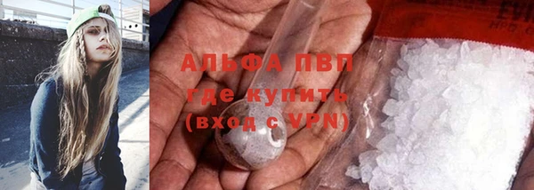 гашик Алексеевка