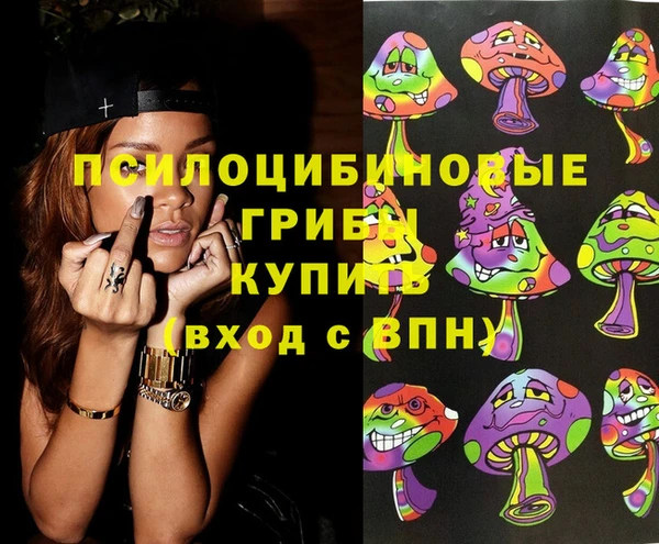 гашик Алексеевка